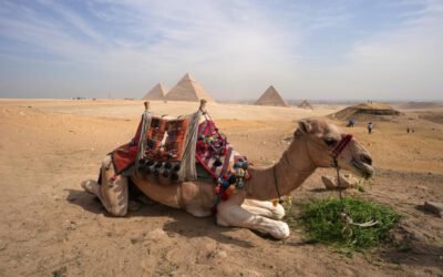 Man bucht einen Flug nach Kairo und landet in drei Städten